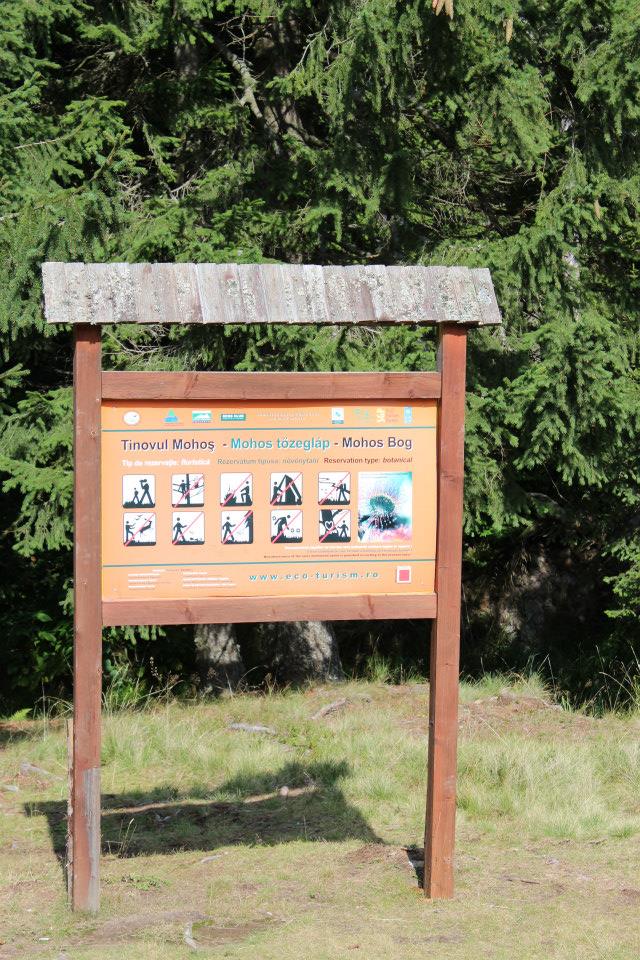 Intrarea în Tinovul Mohoș 6