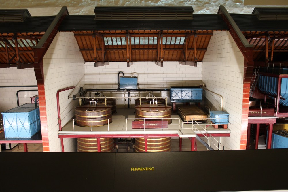 6. Fermentarea IMG_6261